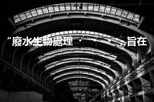 “廢水生物處理，旨在凈化水源，守護(hù)碧水藍(lán)天”